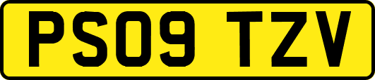 PS09TZV