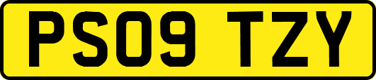 PS09TZY