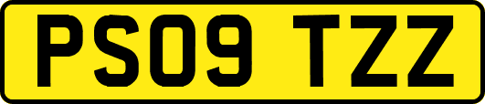 PS09TZZ