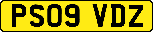 PS09VDZ
