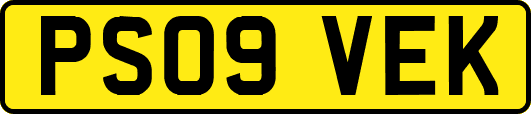 PS09VEK