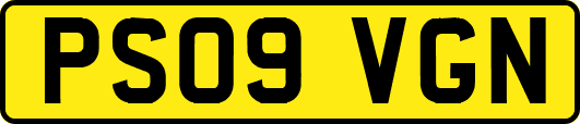 PS09VGN