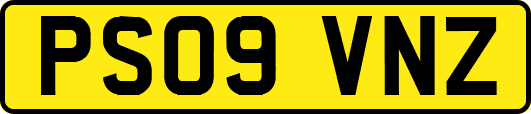 PS09VNZ