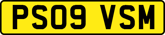 PS09VSM