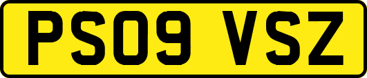 PS09VSZ