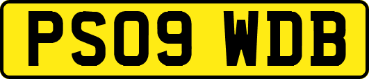 PS09WDB
