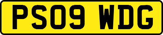 PS09WDG