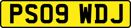 PS09WDJ