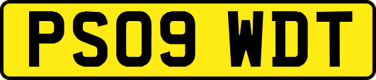 PS09WDT
