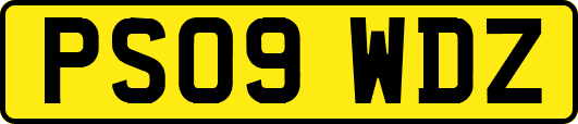 PS09WDZ