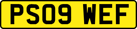 PS09WEF