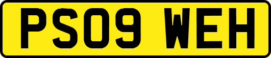PS09WEH