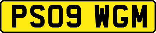 PS09WGM