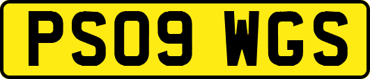 PS09WGS