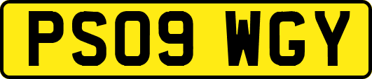 PS09WGY