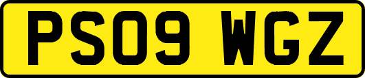 PS09WGZ