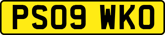 PS09WKO
