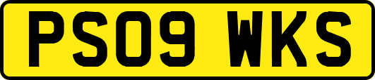 PS09WKS