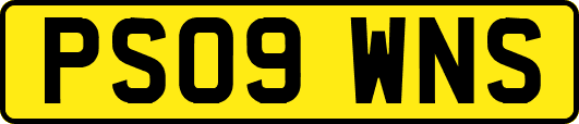 PS09WNS