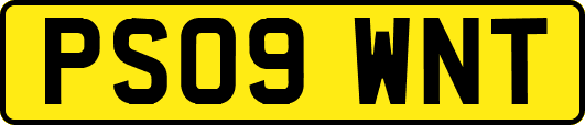 PS09WNT