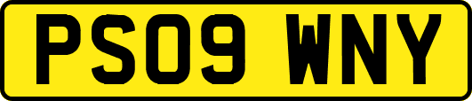 PS09WNY