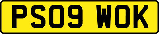 PS09WOK
