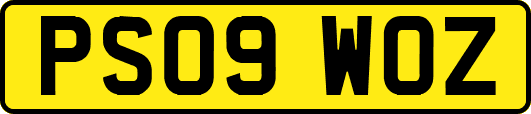 PS09WOZ