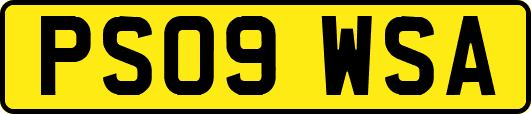 PS09WSA