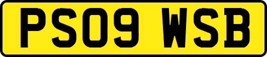 PS09WSB