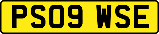 PS09WSE