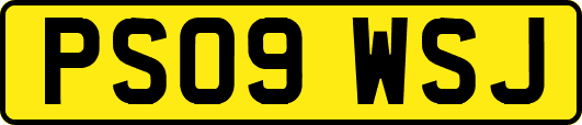 PS09WSJ