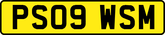 PS09WSM