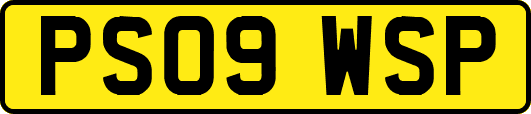PS09WSP
