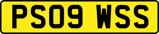 PS09WSS