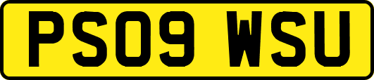 PS09WSU