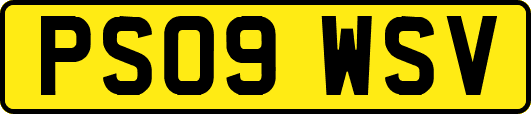 PS09WSV