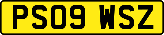 PS09WSZ
