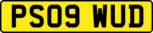PS09WUD