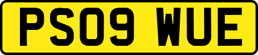 PS09WUE