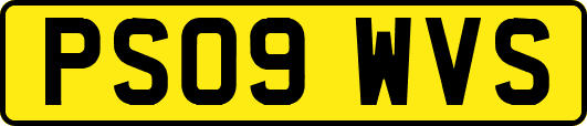 PS09WVS