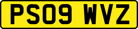 PS09WVZ