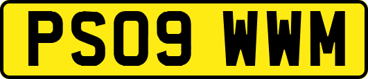 PS09WWM