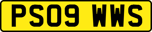 PS09WWS