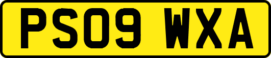 PS09WXA