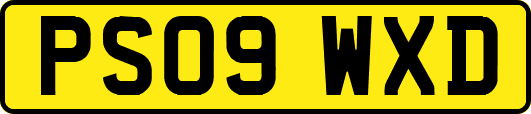 PS09WXD