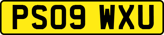 PS09WXU