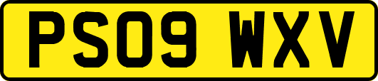 PS09WXV