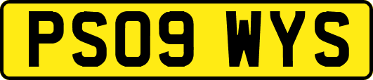 PS09WYS
