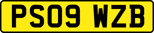 PS09WZB
