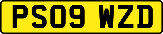 PS09WZD